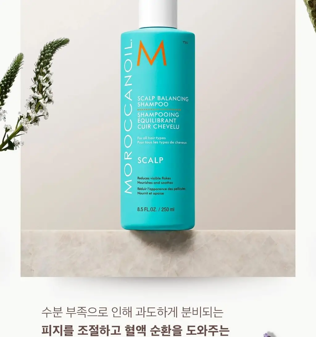 [두피 케어] 모로칸오일 스칼프 밸런싱 샴푸 250ml 상세페이지 11
